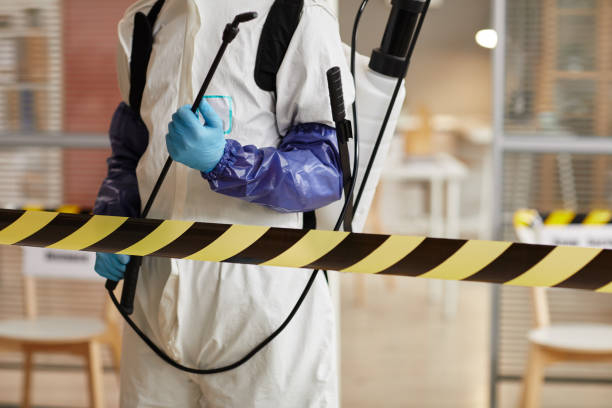 Professional Hoarding Cleanup technician working in Plympton, MA